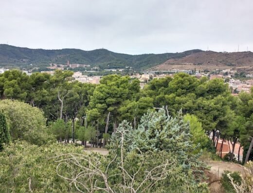 Parc del Turó de la Peira